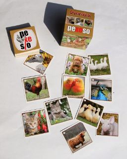 Obrázek z Pexeso BOX Dvoreček 
